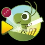 Doodle Cricket